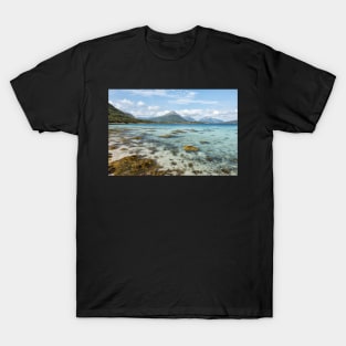 Not Quite Tropical, But Still Paradise T-Shirt